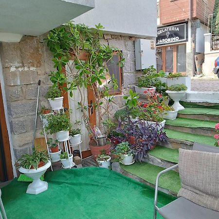 Farlalievi Guest House Sosopol Exterior foto